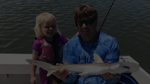 shark